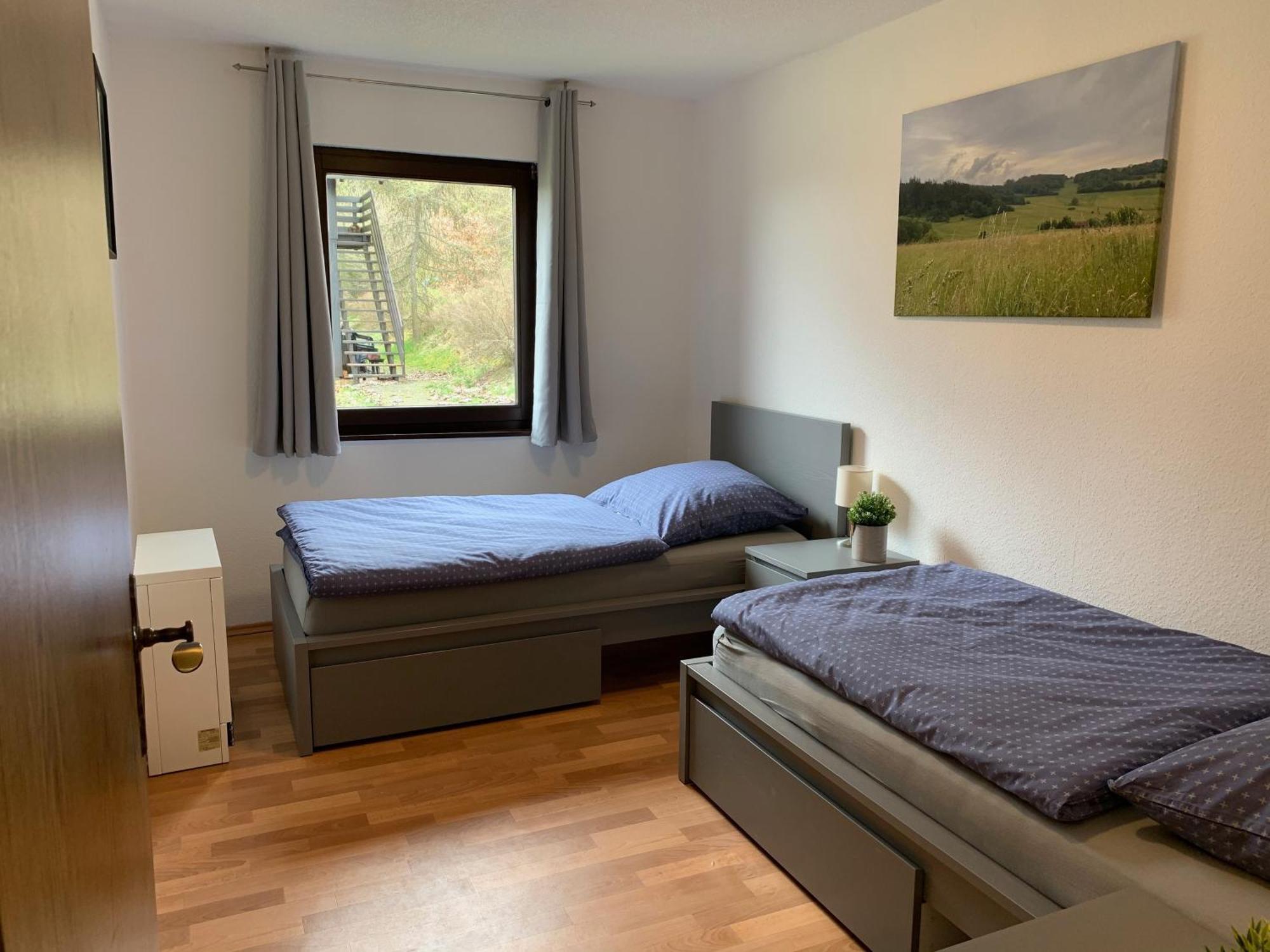 Ferienwohnung Mimo Direkt Am Waldrand Frankenau Екстериор снимка